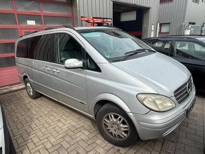 Mercedes Viano