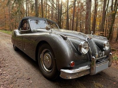Gebraucht Jaguar XK 162 PS (119 kW) 1956 Grau Cabrio