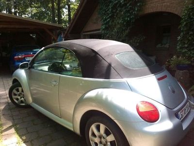 VW Beetle