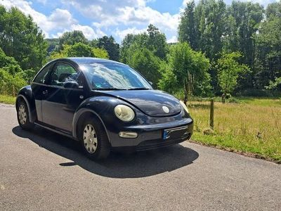 VW Beetle