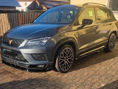 Grau Gebraucht 2019 Cupra Ateca SUV | 21.000 €