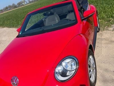 VW Beetle