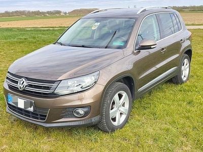 Gebraucht VW Tiguan Sportline 140 PS (102 kW) 2013 Braun SUV