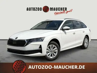 Neu Skoda Octavia Selection 116 PS (85 kW) 2026 Candyweiss Kombi