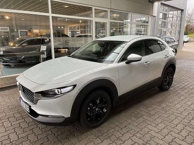 gebraucht Mazda CX-30 e-SKYACTIV-X AT Exclusive