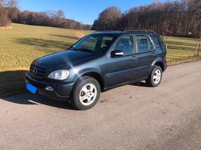 Blau Gebraucht 2002 Mercedes ML270 SUV | 2.600 €