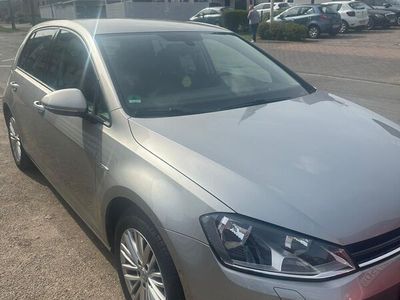 gebraucht VW Golf VII 1.4 TSI Cup Edition Bluemotion