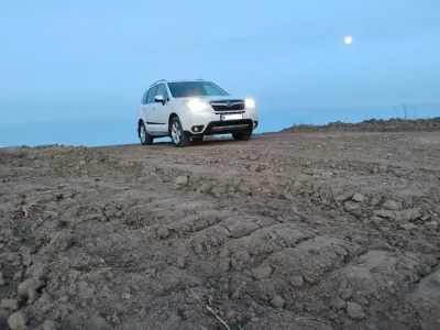 Usata Subaru Forester Comfort 150 CV (110 kW) 2014 Bianco SUV