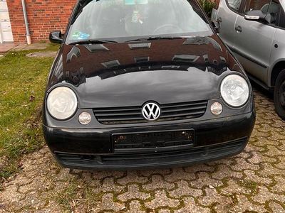 Usata VW Lupo 69 CV (50 kW) 2001 Bianco Utilitaria