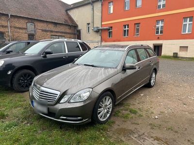 gebraucht Mercedes E300 CDI T BlueEFFICIENCY ELEGANCE ELEGANCE