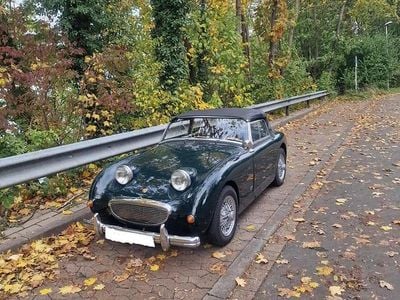 Gebraucht Austin Healey Sprite 1961 Grün Cabrio