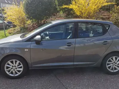 Gebraucht Seat Ibiza Style 75 PS (55 kW) 2012 Grau Kleinwagen