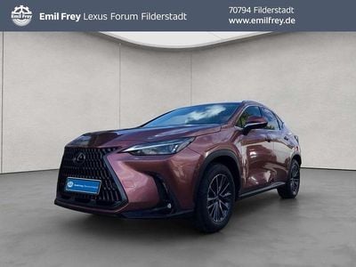 Neu Lexus NX350h Executive Line 200 PS (147 kW) 2026 Kupfermetallic SUV