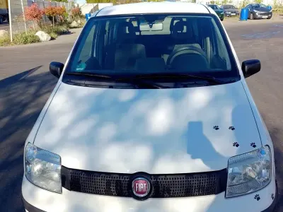 Usata Fiat Panda 58 CV (42 kW) 2009 Bianco Utilitaria