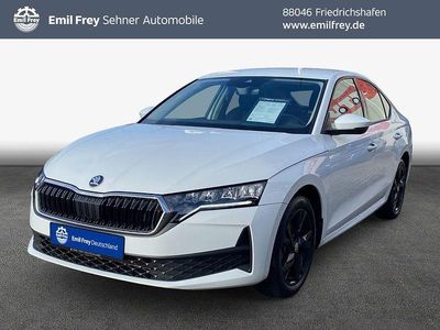 Gebraucht Skoda Octavia Essence 116 PS (85 kW) 2025 Moon white metallic Limousine