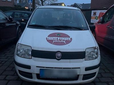 Gebraucht Fiat Panda 60 PS (44 kW) 2009 Weiß Kleinwagen
