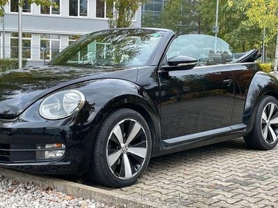 VW Beetle