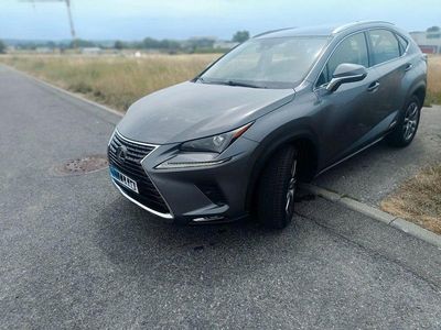 Lexus NX300h