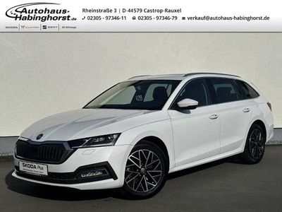 Gebraucht Skoda Octavia Style 150 PS (110 kW) 2023 Weiss Kombi