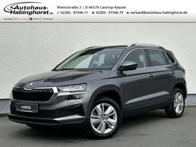 Nouă Skoda Karoq Selection 150 CP (110 kW) 2026 Gri SUV