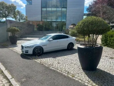 Käytetty Jaguar XE 180 HP (132 kW) 2019 Valkoinen Sedan