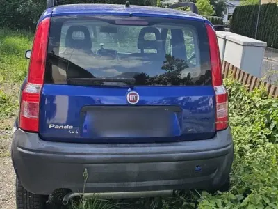 Gebraucht Fiat Panda 4x4 60 PS (44 kW) 2009 Blau Kleinwagen