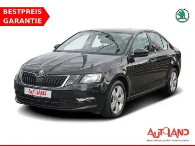 Gebraucht Skoda Octavia 150 PS (110 kW) 2020 Blackmagicmet. Limousine