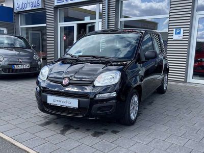 gebraucht Fiat Panda 