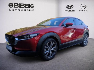 Gebraucht Mazda CX-30 Selection 150 PS (110 kW) 2020 Rot SUV