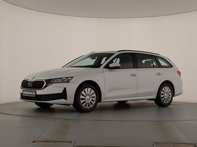 Gebraucht Skoda Octavia Essence 116 PS (85 kW) 2025 Moonweiss metallic Kombi