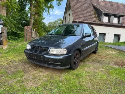 Usata VW Polo