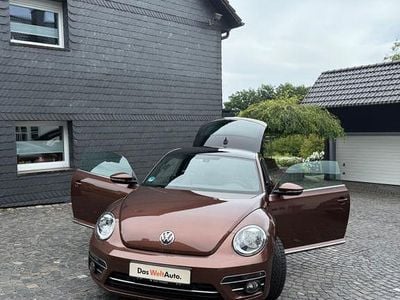 VW Beetle