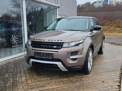 Braun Gebraucht 2015 Land Rover Range Rover evoque Dynamic SUV | 10.999 €