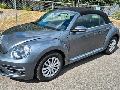 VW Beetle