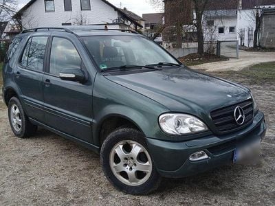 Gebraucht Mercedes ML270 2002 Grün SUV