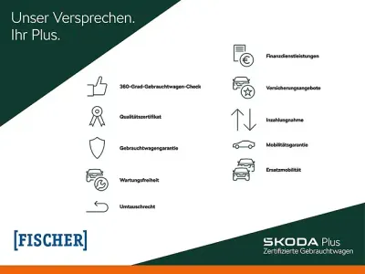 Gebraucht Skoda Karoq Selection 150 PS (110 kW) 2024 Rot SUV