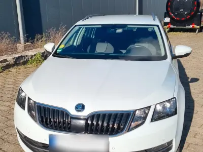 Gebraucht Skoda Octavia Business Line 150 PS (110 kW) 2019 Weiß Kombi