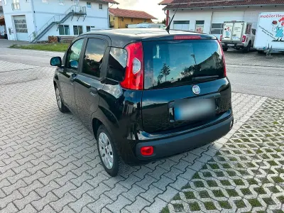 Gebraucht Fiat Panda 69 PS (50 kW) 2013 Schwarz Kleinwagen