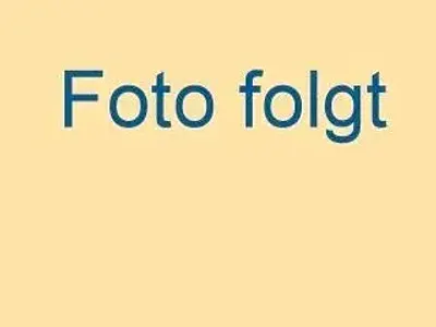 Gebraucht VW T5