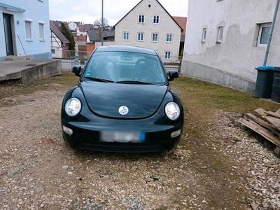 VW Beetle