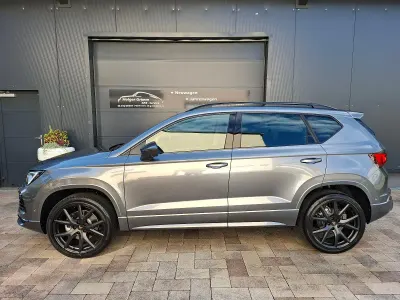 Gebraucht Cupra Ateca 150 PS (110 kW) 2026 Grau SUV