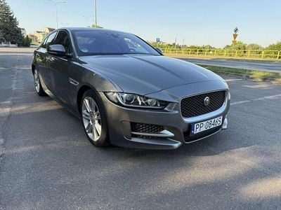 Gebraucht Jaguar XE R-Sport 179 PS (131 kW) 2015 Grau Limousine