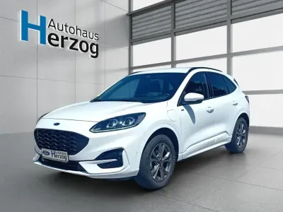 Gebraucht Ford Kuga ST-Line X 224 PS (164 kW) 2023 Weiß SUV