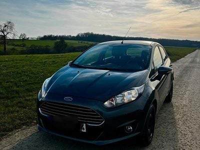 Gebraucht Ford Fiesta Trend 101 PS (74 kW) 2015 Kleinwagen