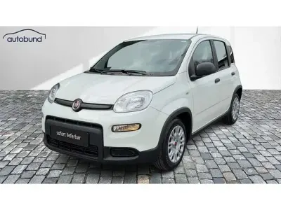 Usata Fiat Panda 69 CV (50 kW) 2024 Bianco Utilitaria