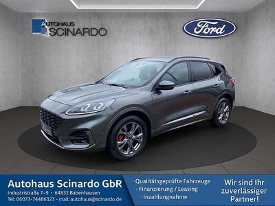 Gebraucht Ford Kuga ST-Line X 120 PS (88 kW) 2024 Grau SUV