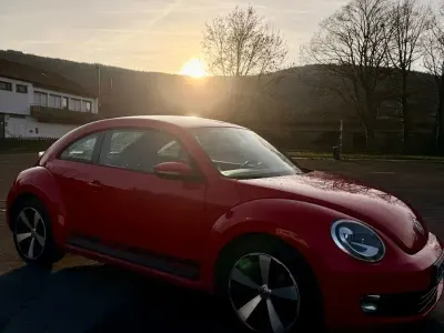 Gebraucht VW Beetle
