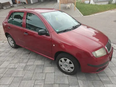 Brugt Skoda Fabia