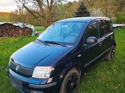 Second-hand Fiat Panda 49 CP (36 kW) 2009 Albastru Hatchback