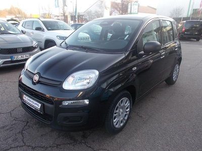 Neu Fiat Panda Icon 69 PS (50 kW) 2025 Cinema schwarz Kleinwagen